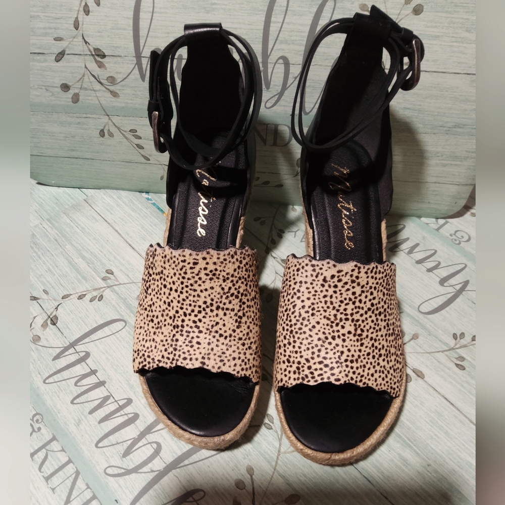 Matisse Coconuts Black Dots Size 8m